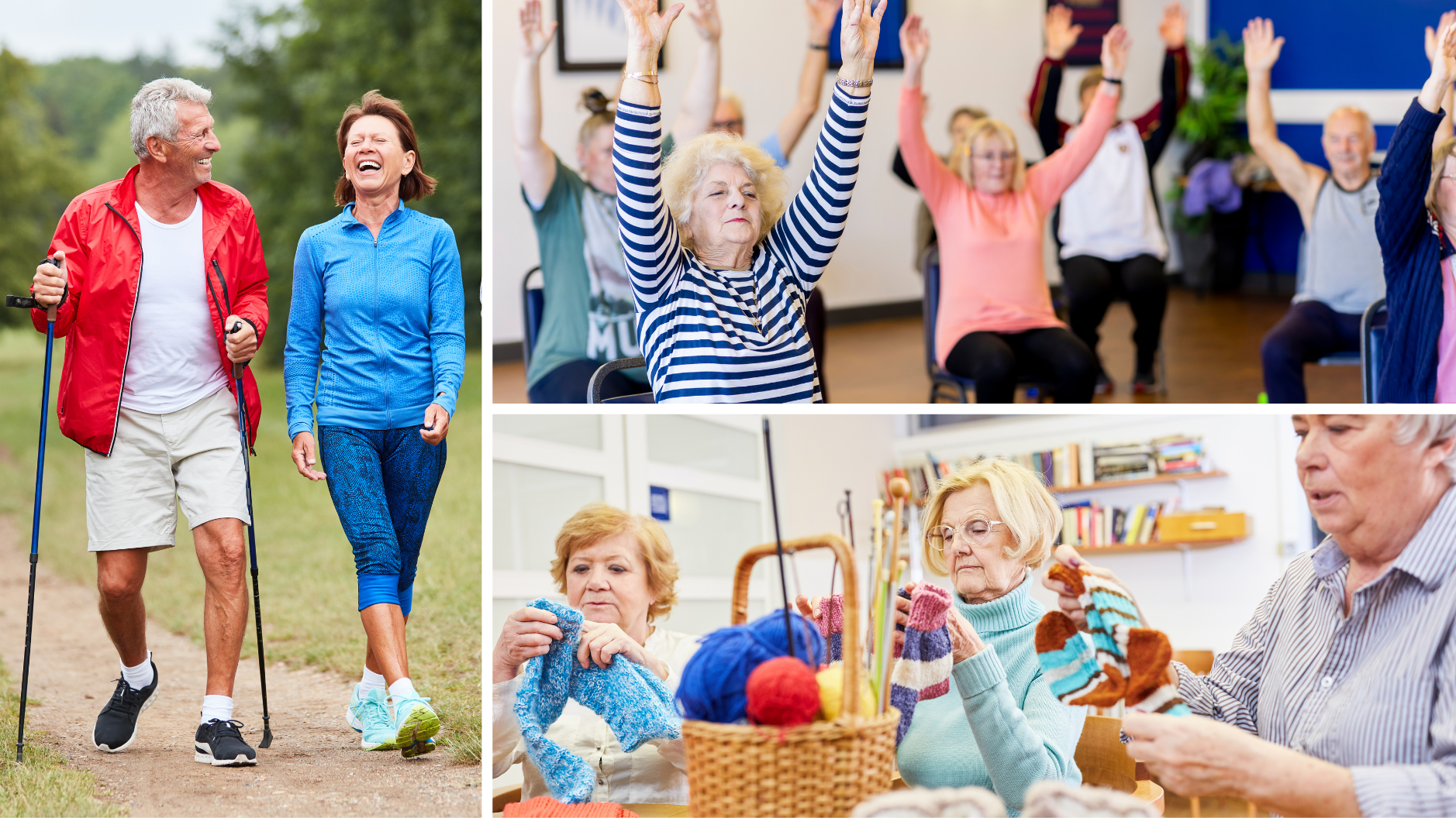 Collage of seniors doing activities such as walking, chair yoga, and knitting.